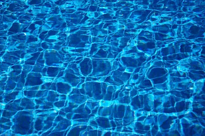 Logo of Gecko Pool and Spa